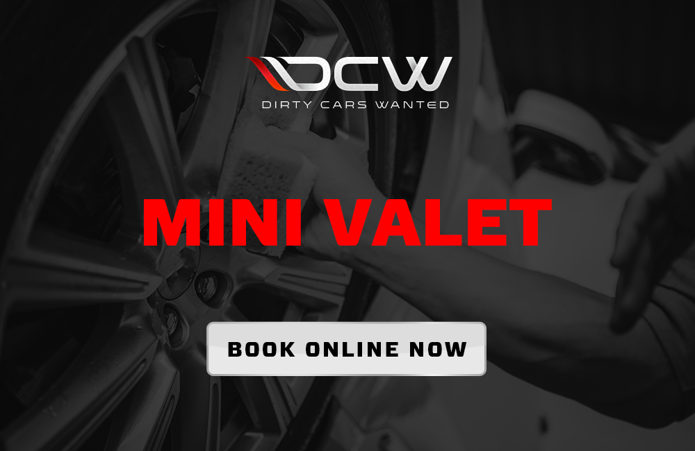 MINI VALET